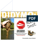 Didymo