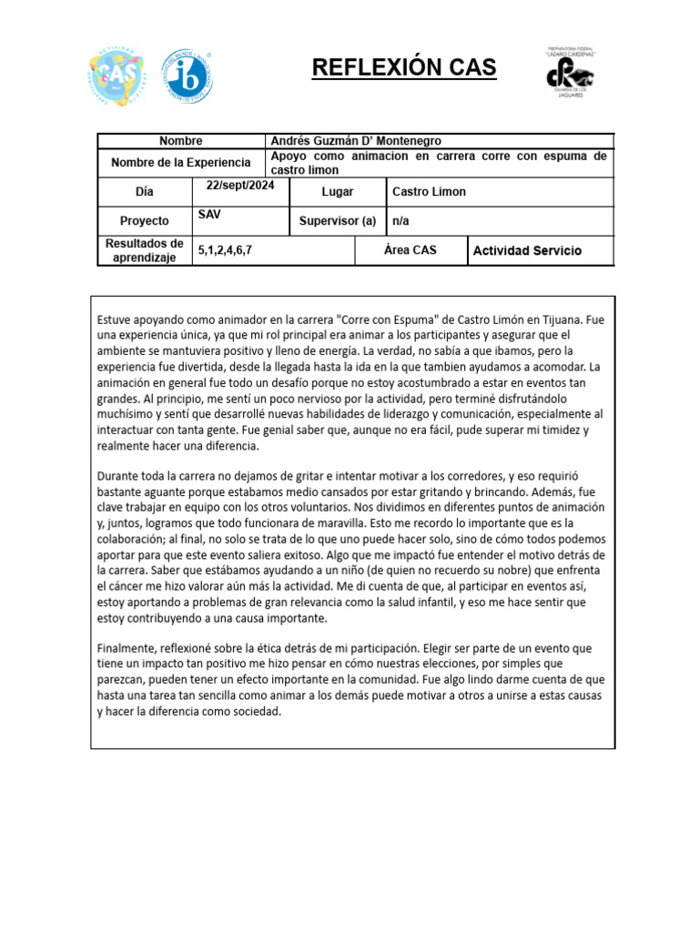 Copia de Formato Cas | PDF