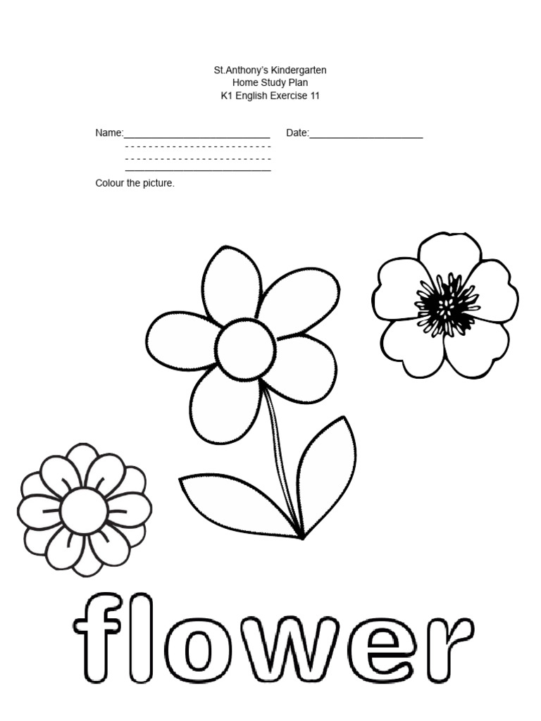 K1 english exercise 11 pdf
