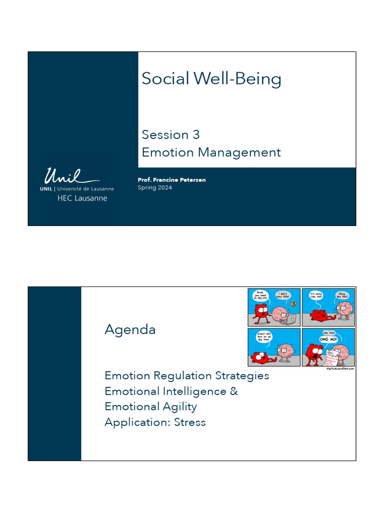 SWB 03 Emotion Regulation | PDF