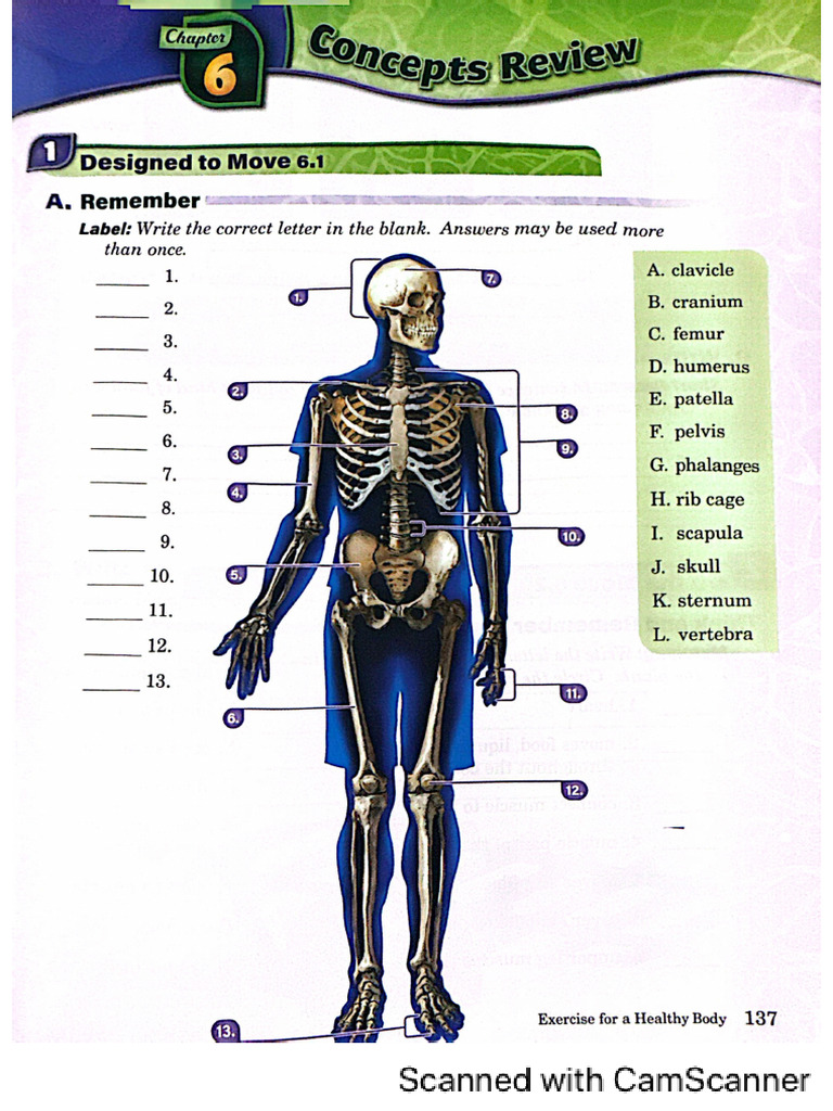 Chapter 6 Concept Review Pdf
