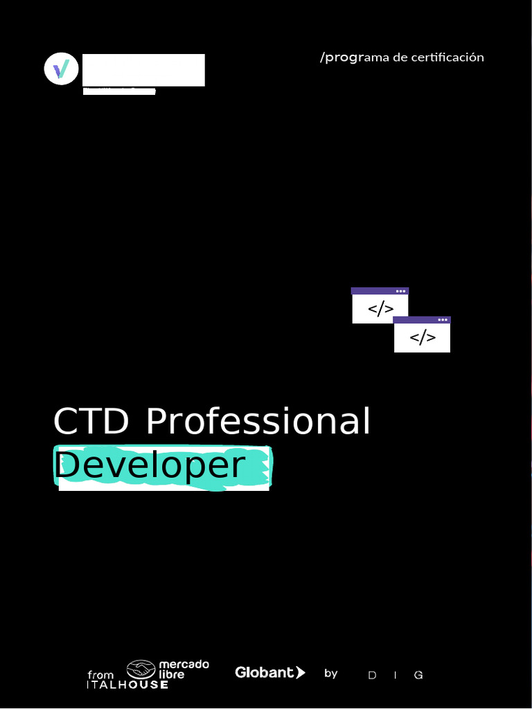 Programa Professional Developer | PDF