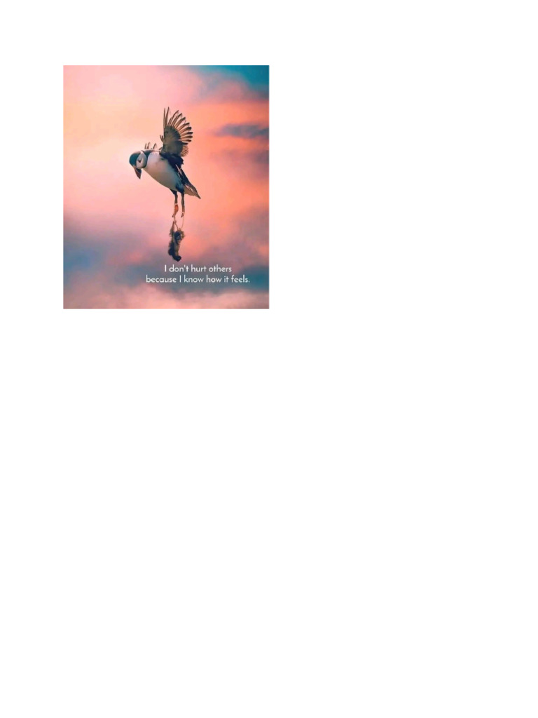 Life | PDF