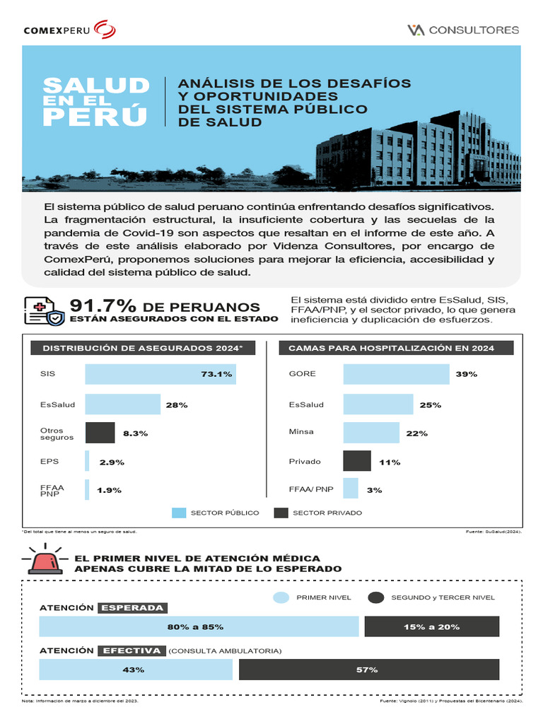 Desafíos del Sistema de Salud en Perú 2024 | PDF | Farmacia | Perú