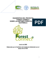 Diagnostico Proyecto "FOREST CONNECT" Sobre MIPYMES FORESTALES en Guatemala