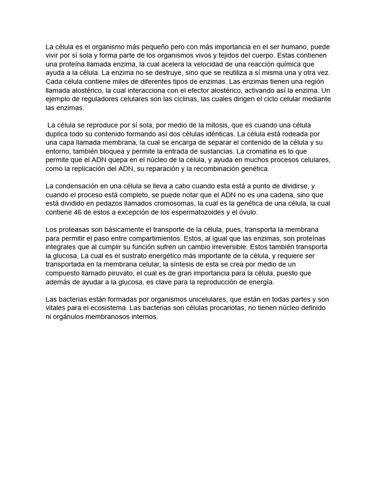 Documento Sin Título 4 | PDF