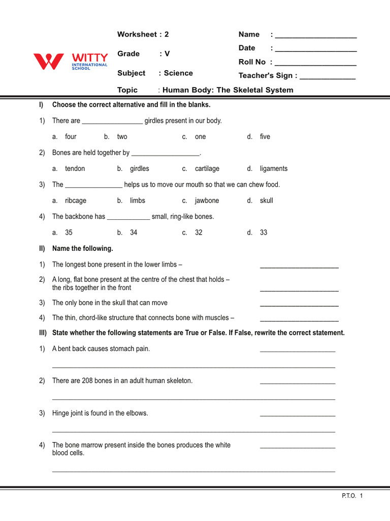 WS 2 | PDF