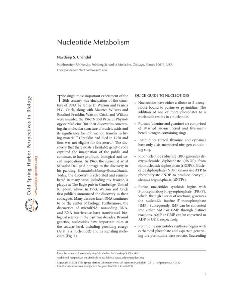 nucleotide-metabolism-pdf-nucleotides-biosynthesis