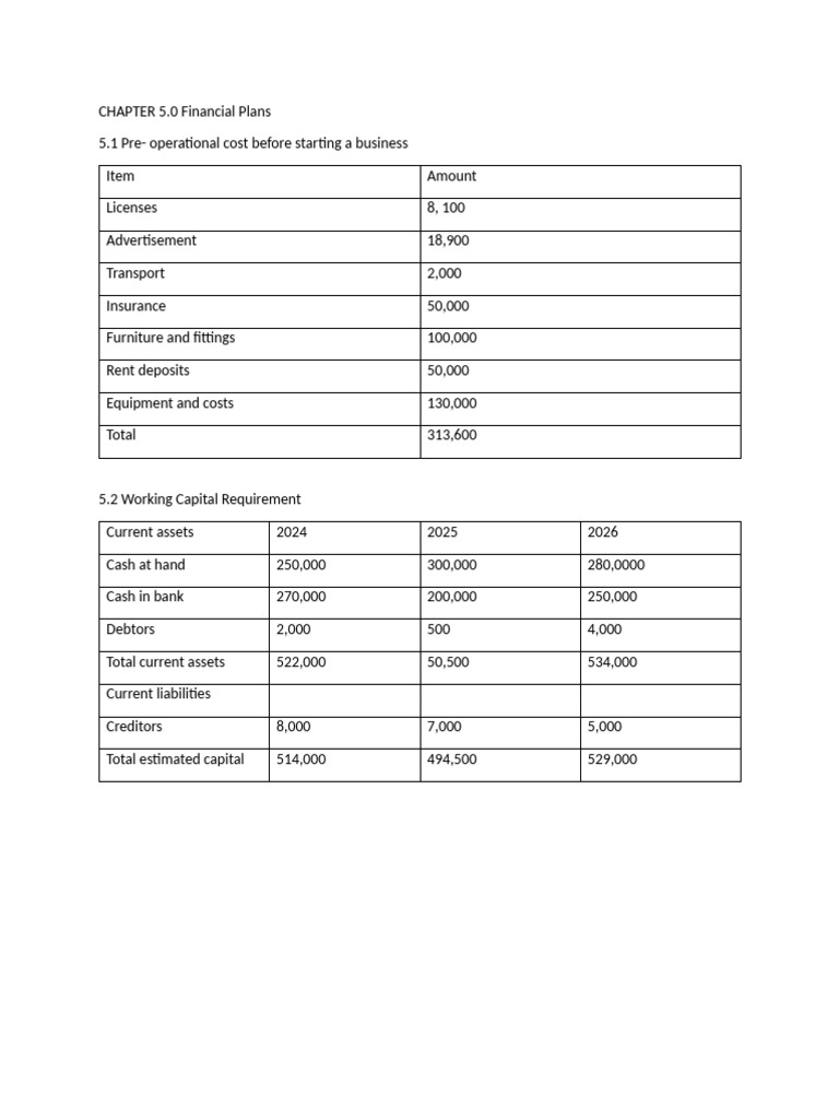 Revised Business plan 5 | PDF
