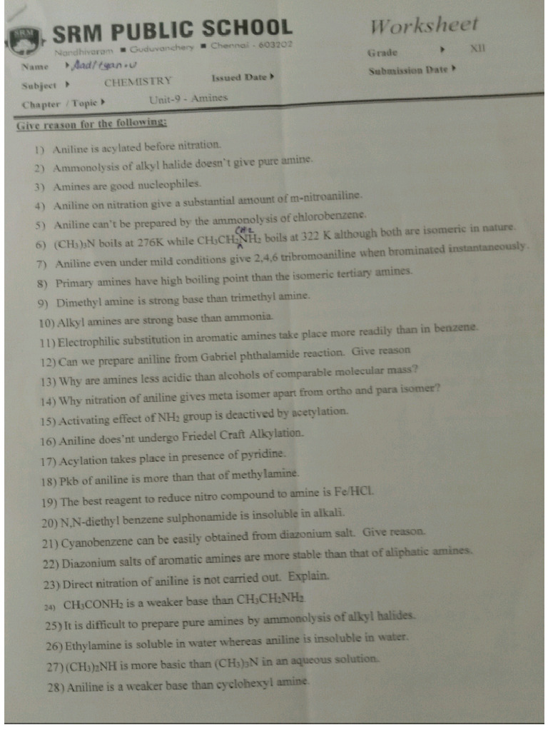 Chemistry Chapter 9 Amines Worksheet | PDF