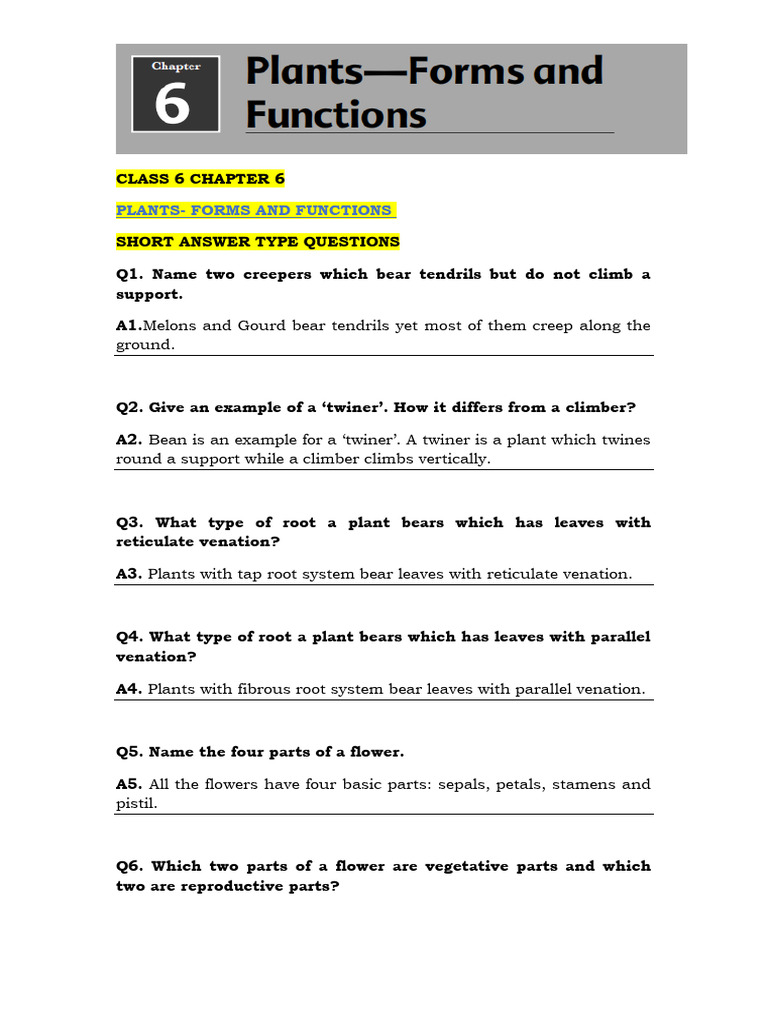 Class 6 CH 6 Short Ans. | PDF