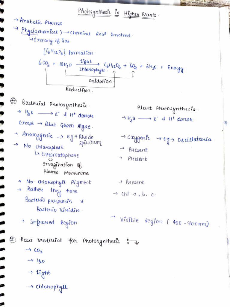 Photosynthesis in Higher Plants Handwritten Notes by Shivani Mam | PDF