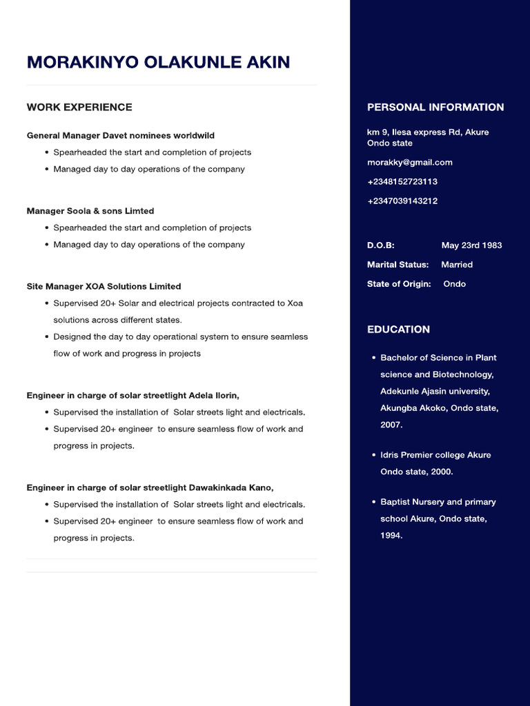 Cv template | PDF