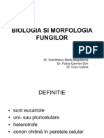 Biologia Si Morfologia Fungilor