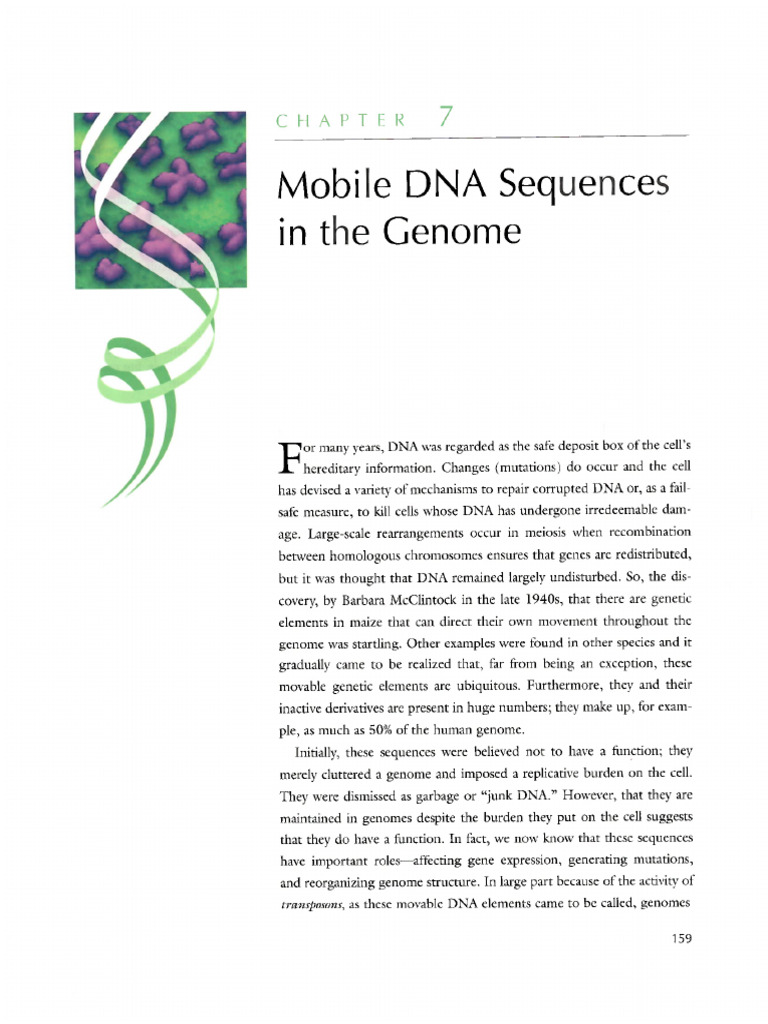 Chapter 7 | PDF