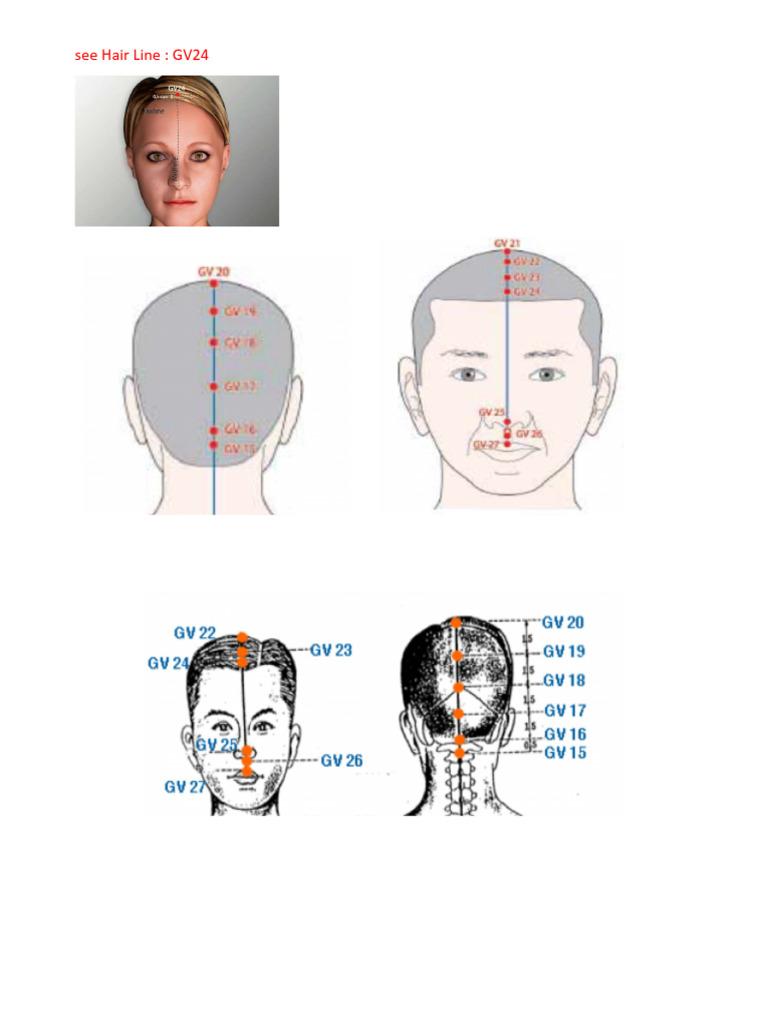 12 Meridian Points PDF