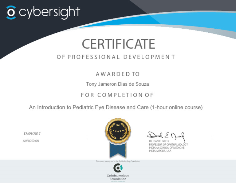 Cybersight CoC SponsoredByOF 112021 PDF