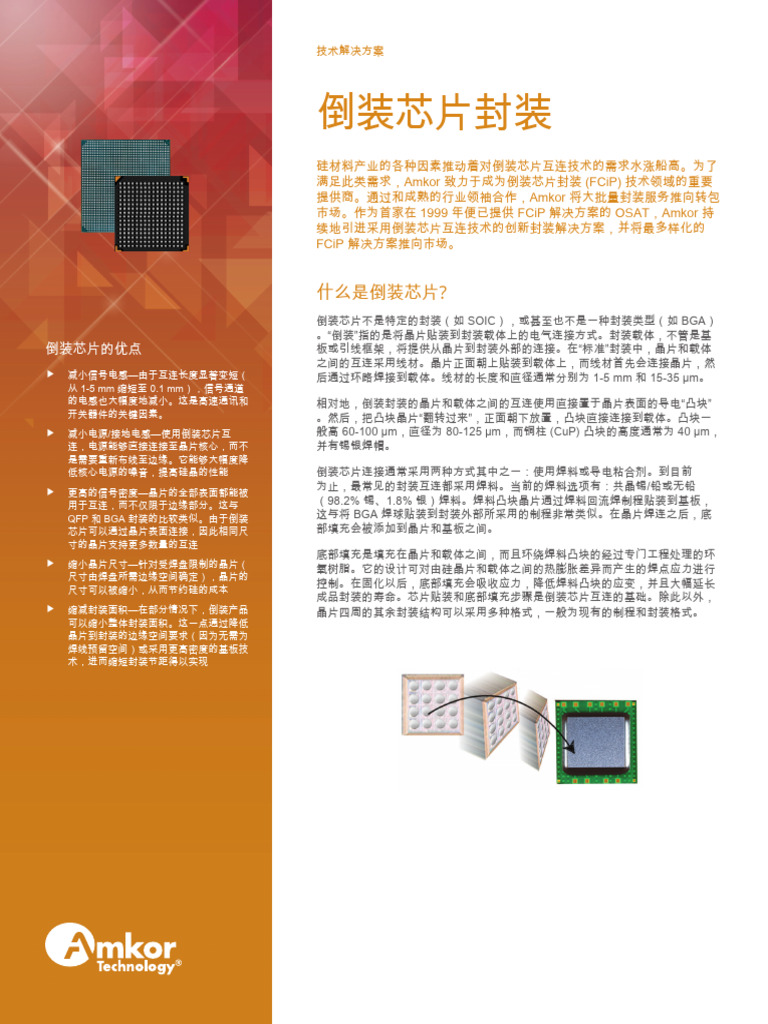 Flip Chip TS102 CN | PDF