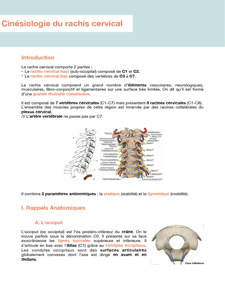 Le Rachis Cervical | PDF