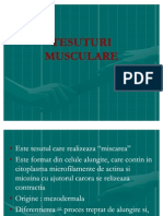 TESUTURI MUSCULARE