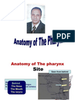 4th Year Anatomy of Pharynx