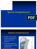 Sp.retroperitoneal Curs 9 Anatomie 31.11