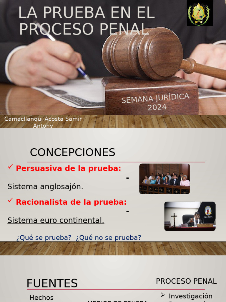 Prueba en el Proceso Penal 2024 | PDF | Ciencia y matemáticas