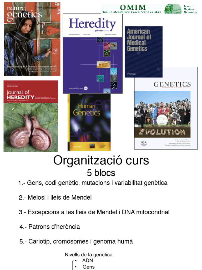 Genetic A | PDF | Genetics | Cell Nucleus
