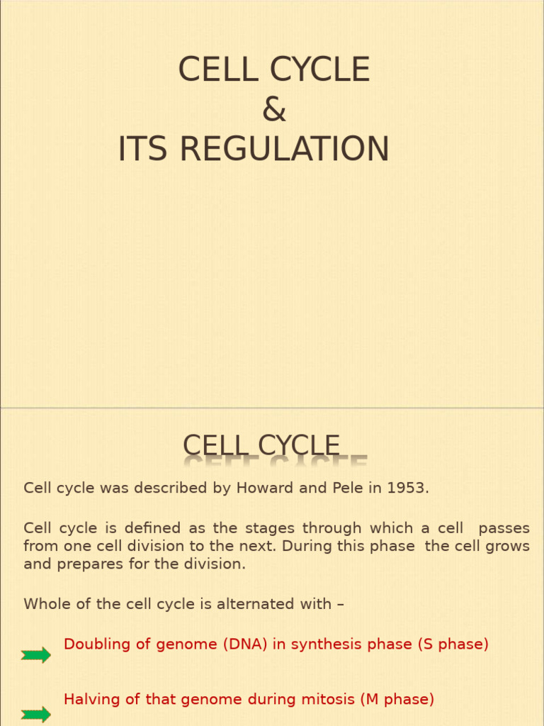 Cell Cycle Its Regulation | PDF