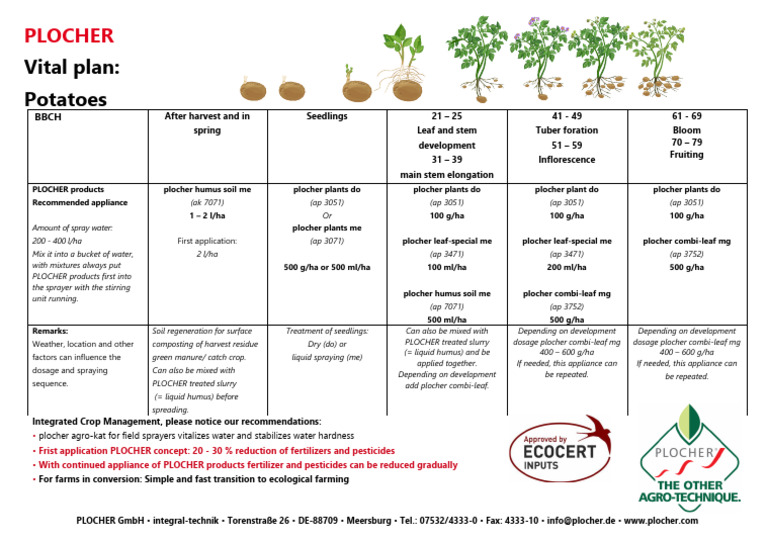 Plocher Vital Plan Potatoes | PDF