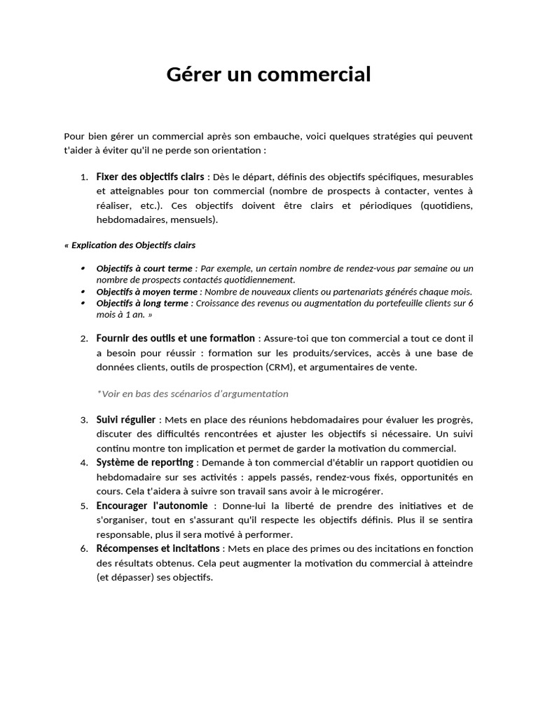 Gérer Un Commercial | PDF