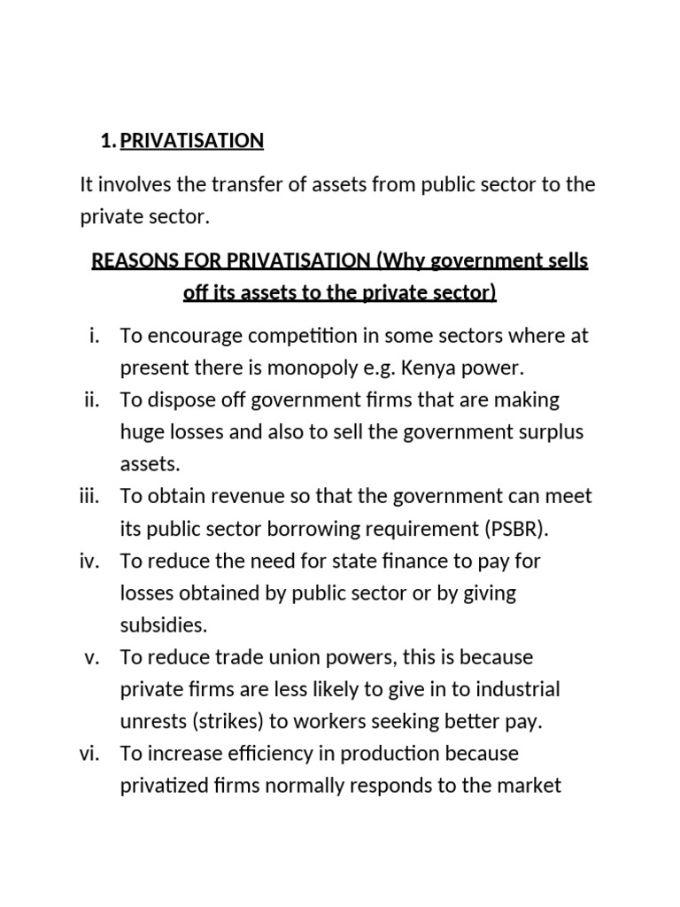 privatisation-pdf