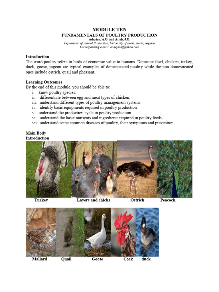Fundamentals of Poultry Production PDF | PDF | Sciences et mathématiques