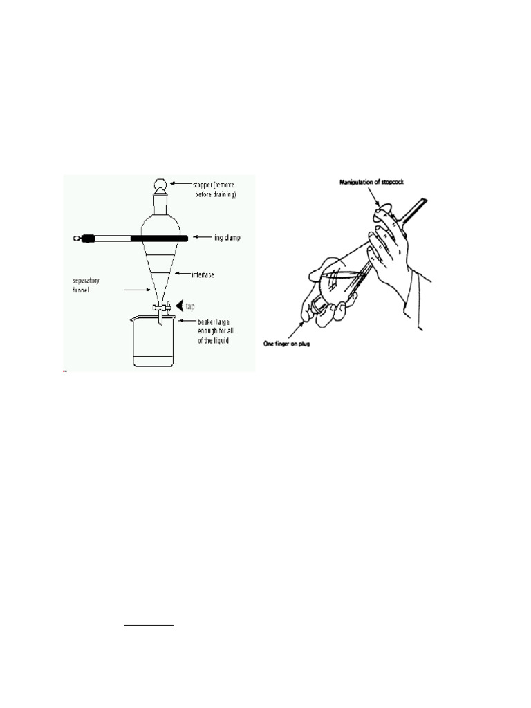 Sep Funnel | PDF