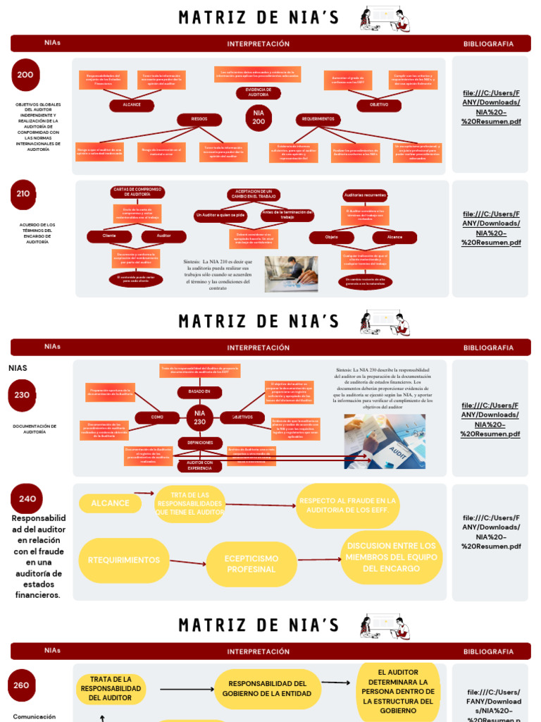 Desarrollo de Nias | PDF | Auditoría | Contralor