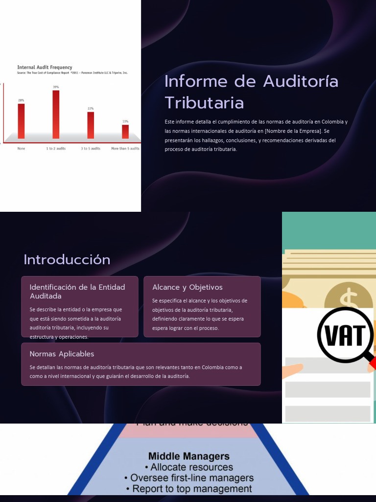 Informes De Auditoria Tributaria Pdf