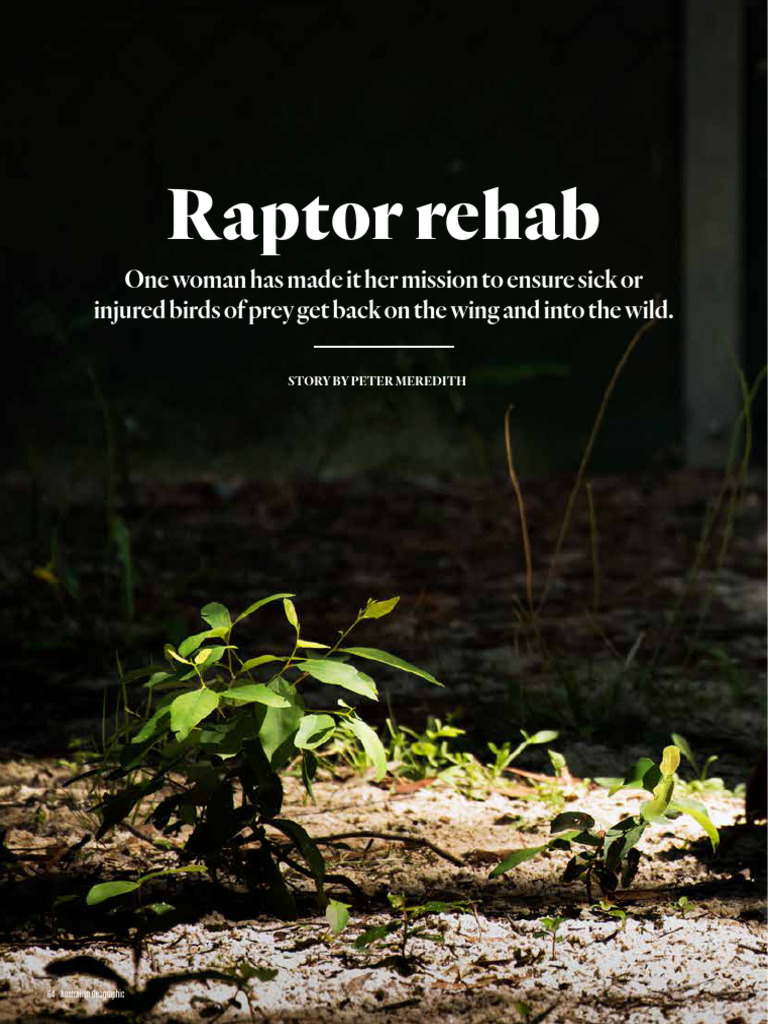 Raptor Rehabilitation | PDF