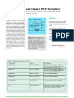 Luciferase IVT PCR Template