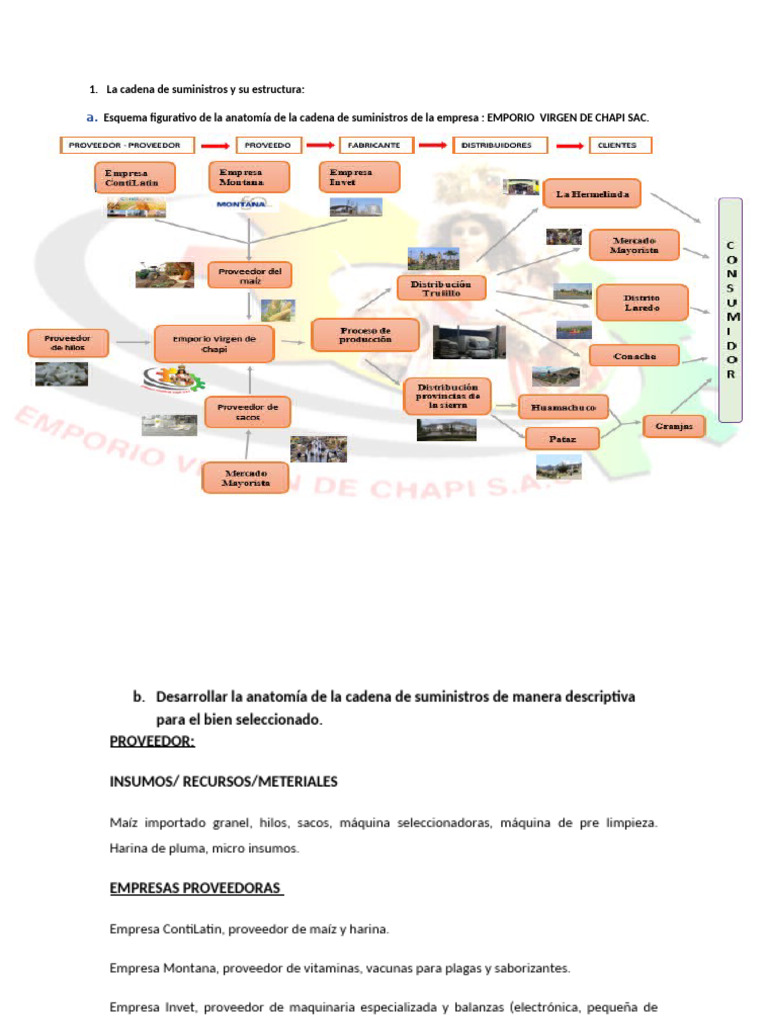 La Cadena de Suministros y Su Estructura | PDF