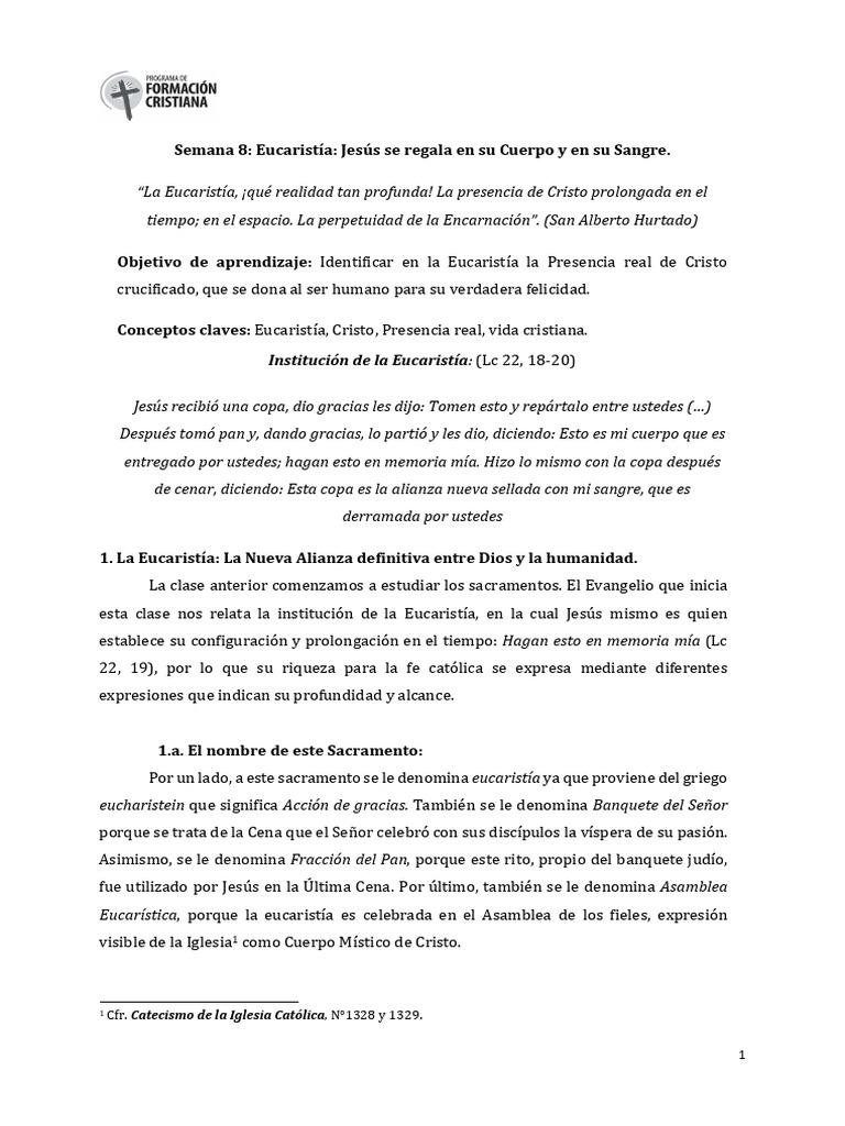 CCA8 | PDF