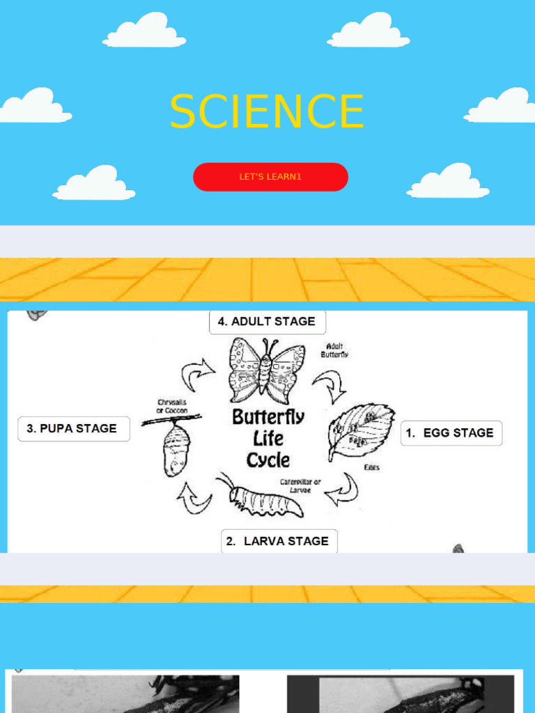 Science Week 3 | PDF