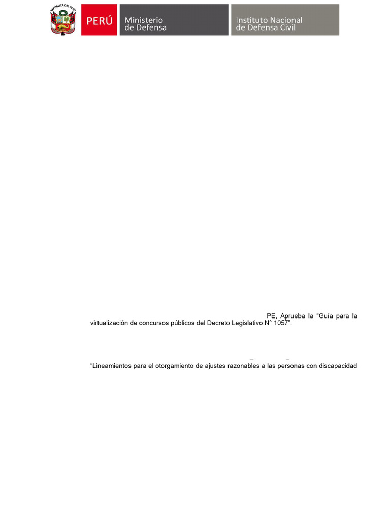 Proceso-CAS-00315-2024-Conductor | PDF