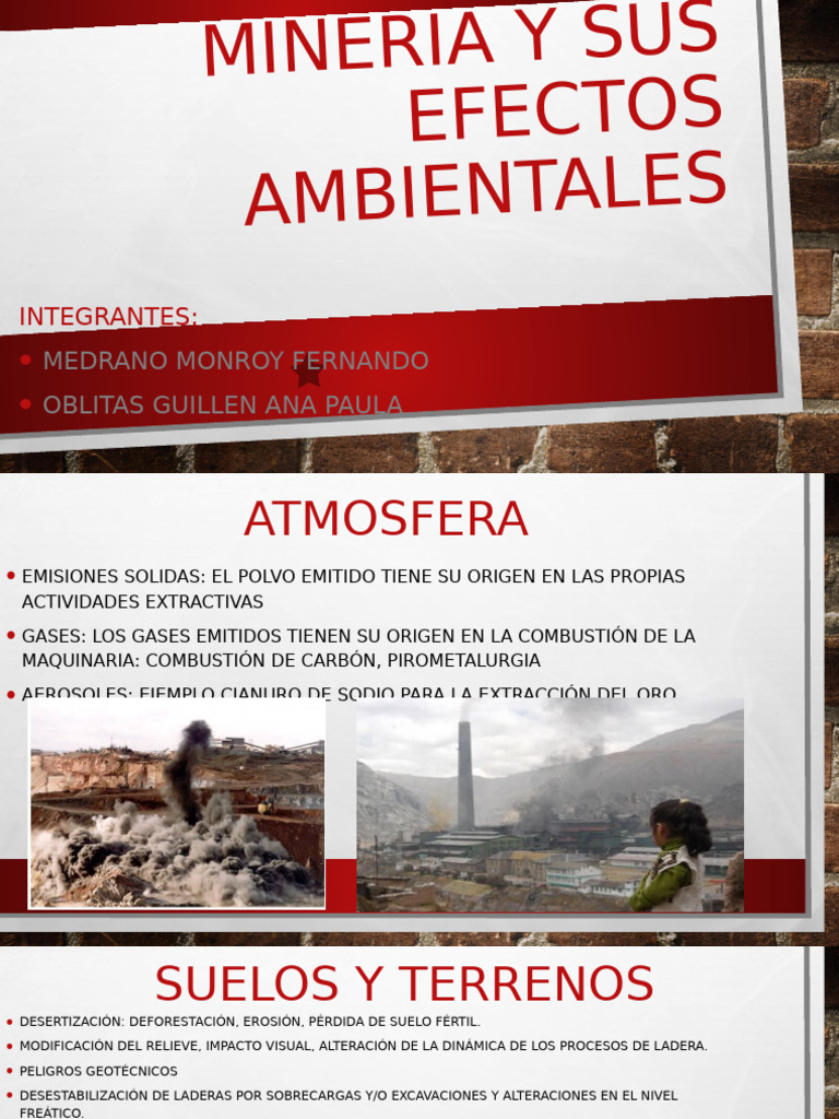 Mineria y Sus Efectos Ambientales | PDF