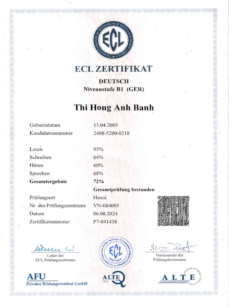CCTD - Banh Thi Hong Anh | PDF
