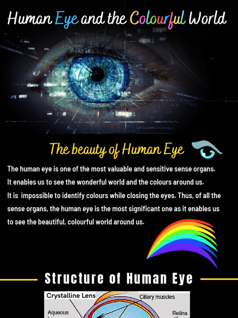Human Eye and The Colourful World - 092051 | PDF
