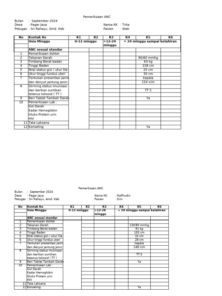 Pemeriksaan ANC September 2024 Pagar Jaya | PDF