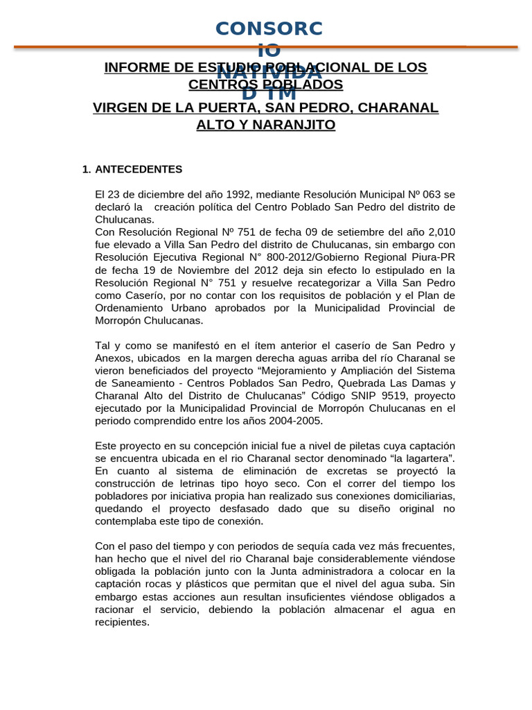 Informe de Estudio Poblacional - A Subsanar | PDF