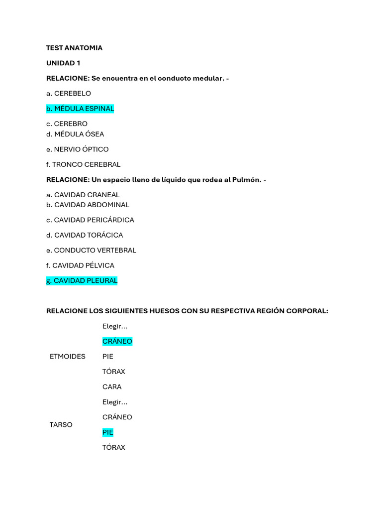 Anatomia Test | PDF