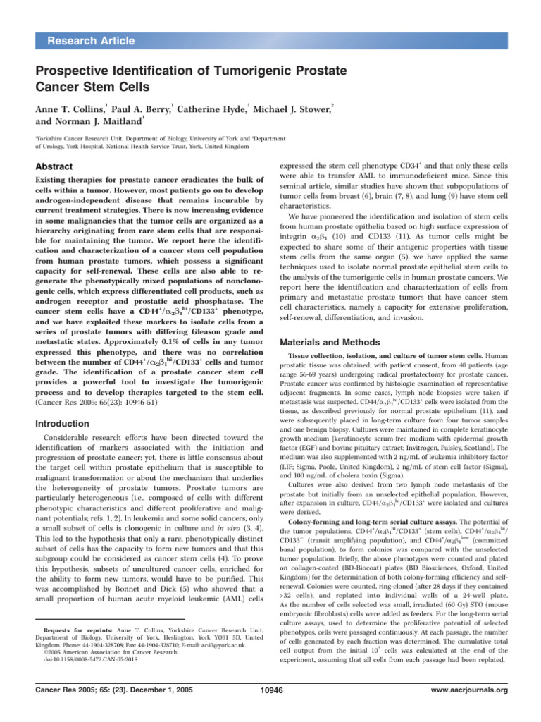 Prospective Identification of Tumorigenic Prostate | PDF