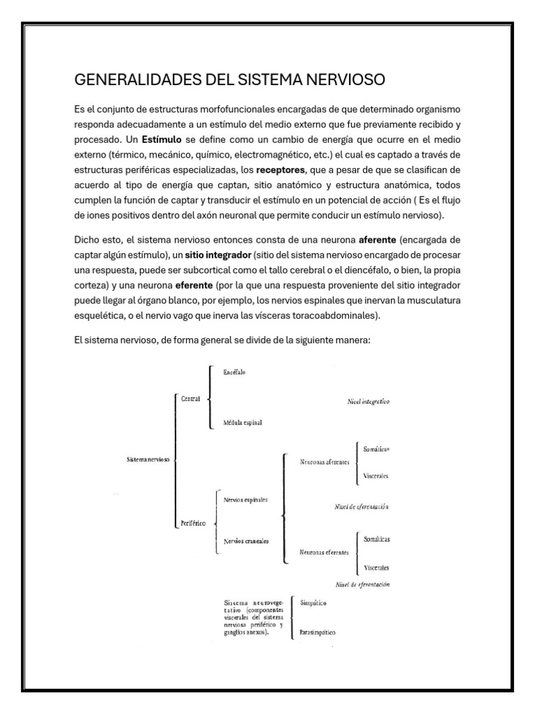 generalidades-del-s-n-pdf